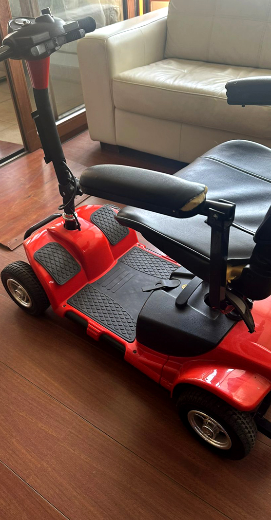 Carrito movilidad